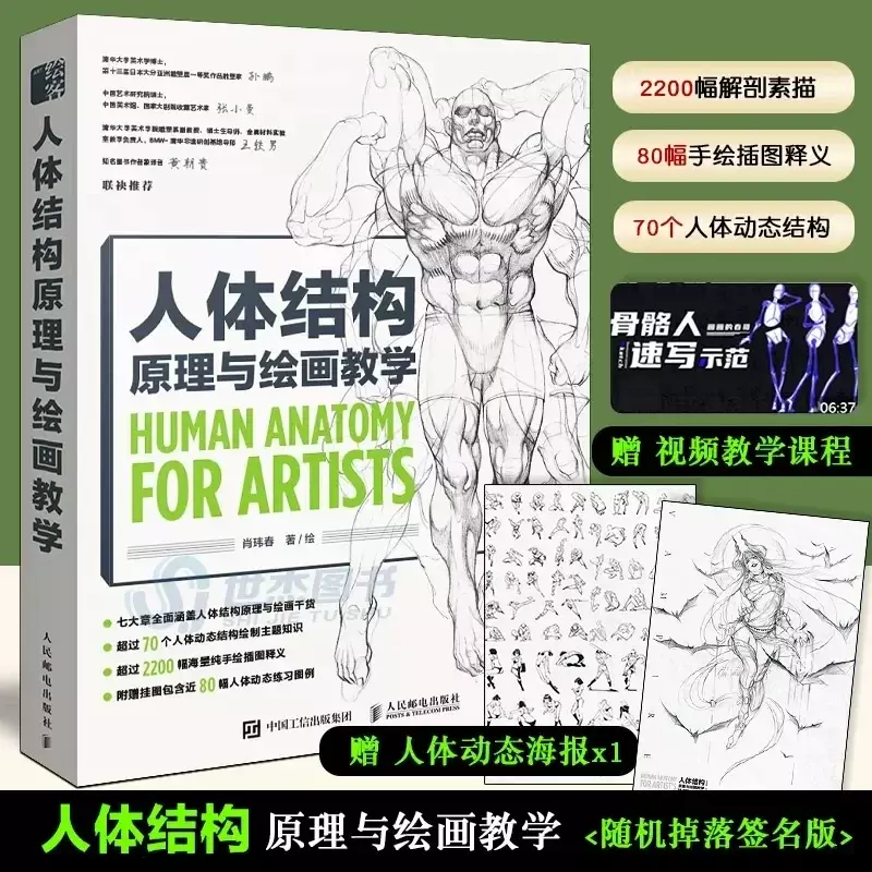 Livre de collection d'art de copie de figure de jeu d'anime d'anatomie humaine pour des artistes, structure du corps humain, principe et peinture fuchsia