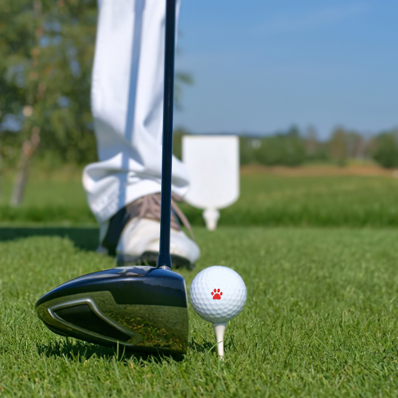 علامة ختم كرة الجولف ، ختم الانطباع ، البلاستيك سريع الجفاف ، كتيب متعدد الاستخدام ، إكسسوارات الجولف ، رمز هدية لاعب الجولف