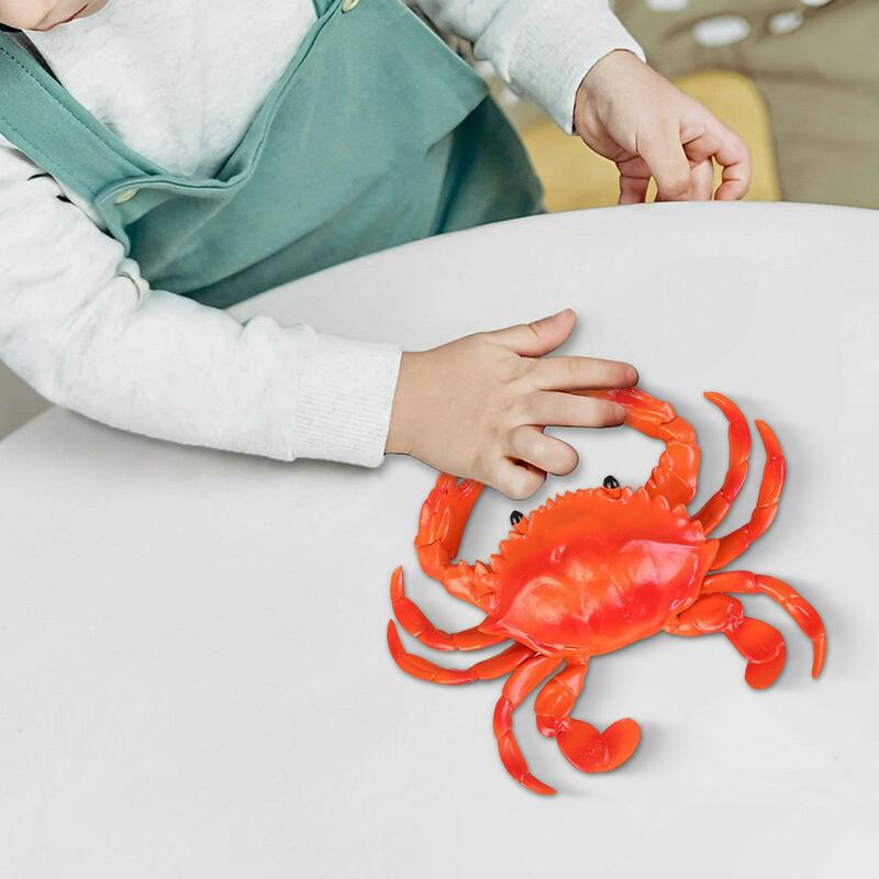 Mainan mandi kepiting realistis, mainan figur hewan laut untuk anak laki-laki remaja