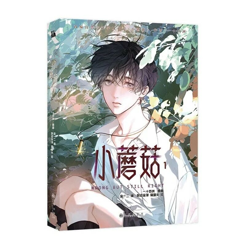 Buku komik asli yang salah tetapi masih benar Volume 1 Lu Feng x An Zhe Chinese fixtion BL Manga Book