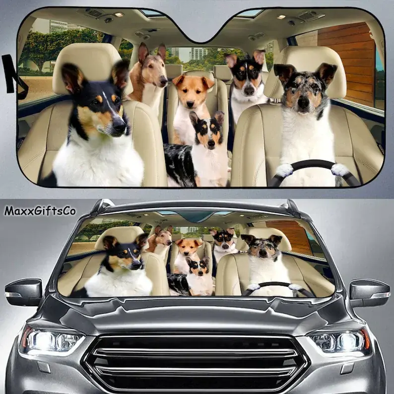 Smooth Collie Car Sun Shade, Smooth Collie Windshield, Dogs Family Sunshade, Dog Car Accessories, Car Decoration, Gift For Dad,