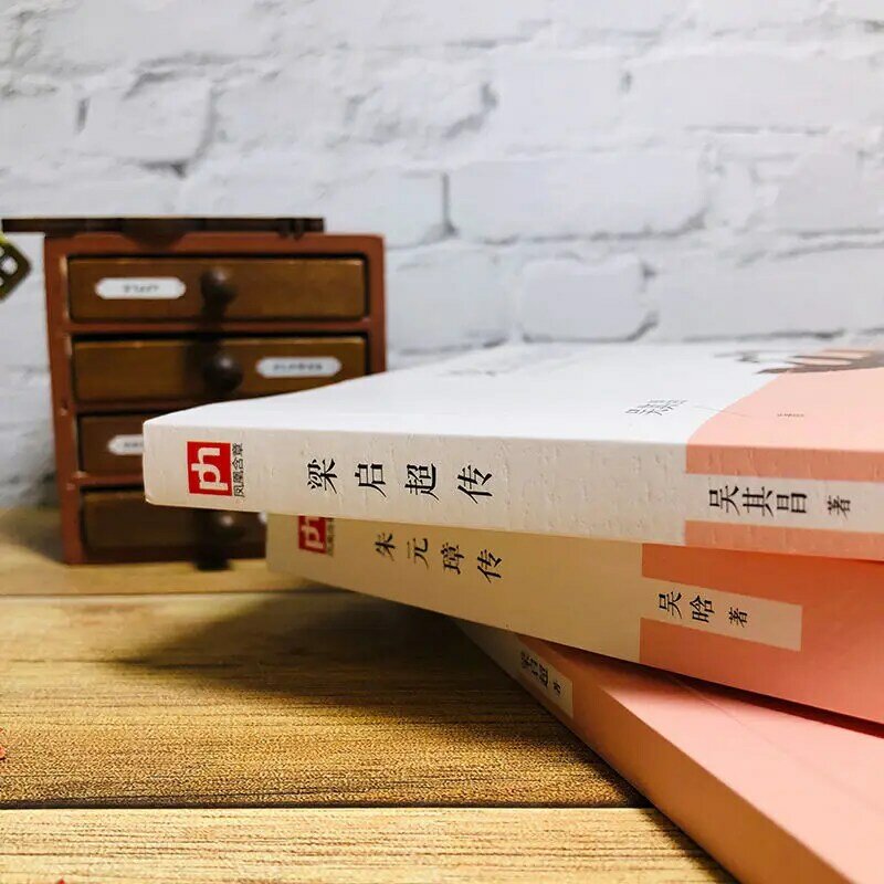 Liang qichao의 전기 새로운 개정되고 세련된 버전 Libros Livros Livres Kitaplar Art