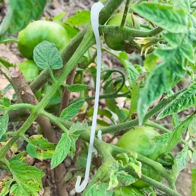 13/16 см подставка для томатов J-образные крючки для поддержки растений, зажимы для овощей, чтобы предотвратить скобы томатов от стопки или падения