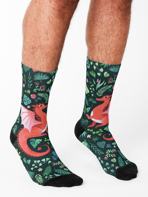 Tropical Dragon Socks essential set cycling gift Men Socks Luxury Brand Women's