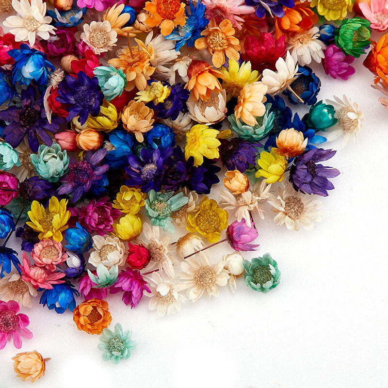 Flores secas de 200 piezas para fabricación de velas, resina epoxi, relleno de vidrio para joyería