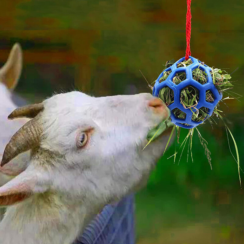 1Pc koza koza owca stres koń piłka ze smakołykami koń piłka ze smakołykami podajnik siana zabawka piłka wiszące karmienie zabawka dla konia