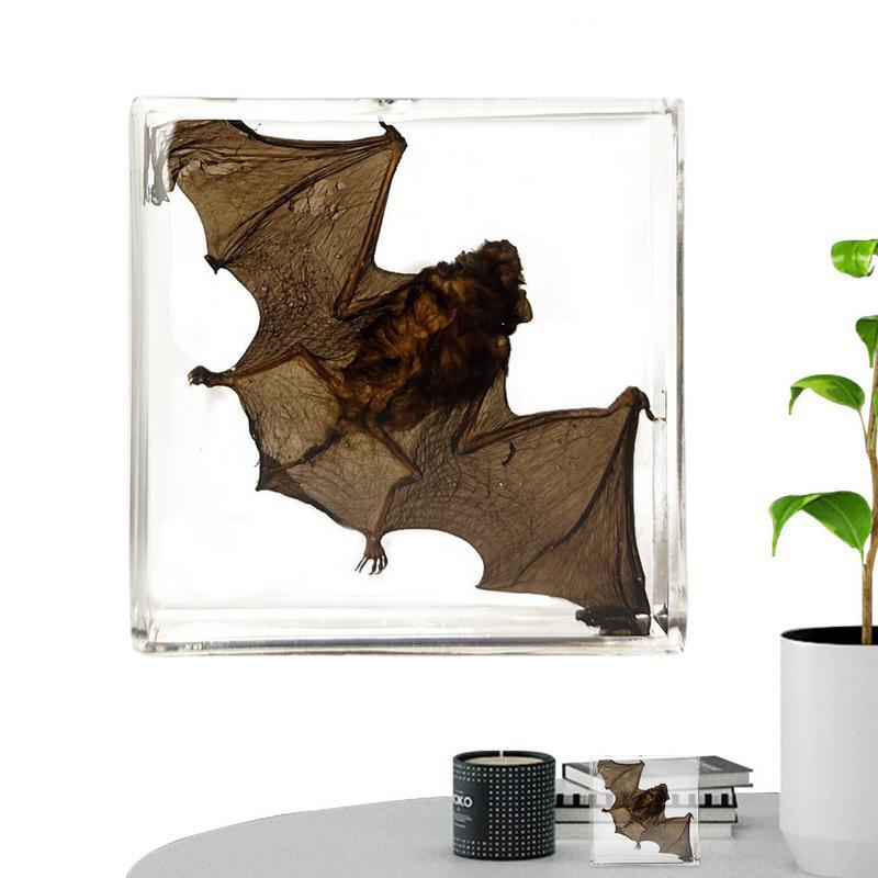 Acrílico Bat Espécime Ornamento, Real Bat Espécime, Decoração em Resina, Tabletop Decor, Iluminando Peça Conhecimento