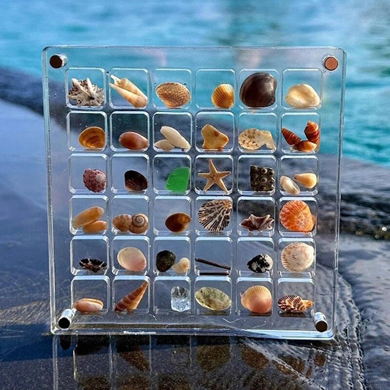 Caja de exhibición de conchas marinas acrílicas transparentes, caja de almacenamiento de conchas marinas, caja de exhibición (36 rejillas)