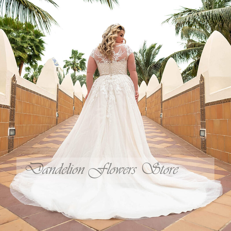 Exquisite Wedding Dresses Plus Size V-Neck Short Sleeves Lace Applique Bride Gown Tulle A-Line Sweep Train فستان حفلات الزفاف