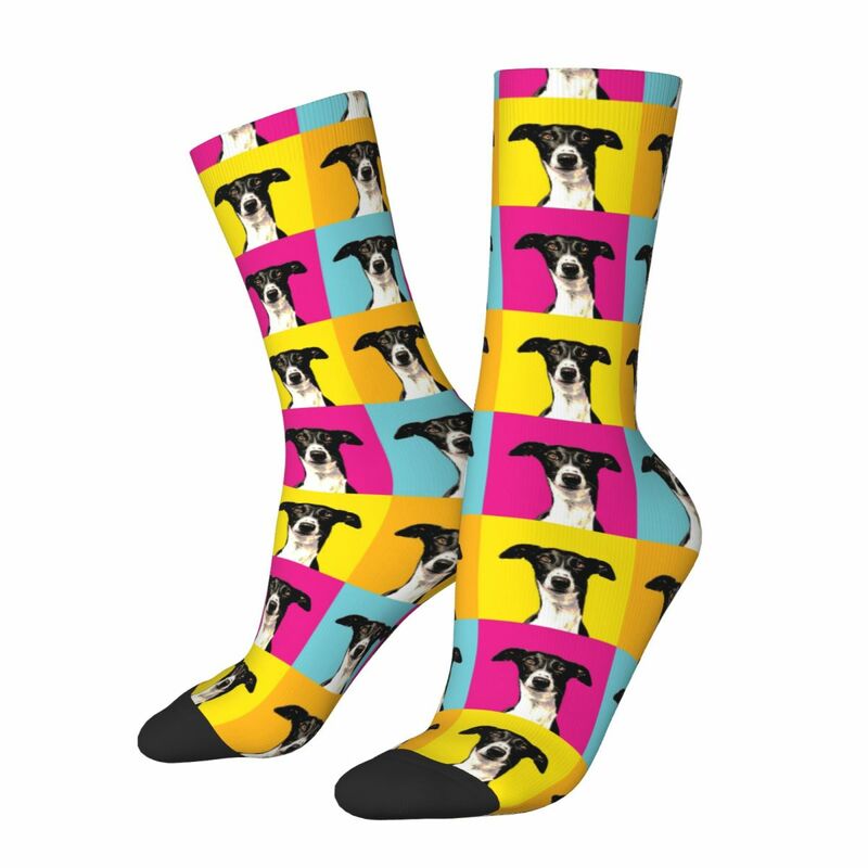 Colorful Pop Art Greyhound Socks Harajuku Sweat Absorbing Stockings All Season Long Socks Accessories for Unisex Gifts