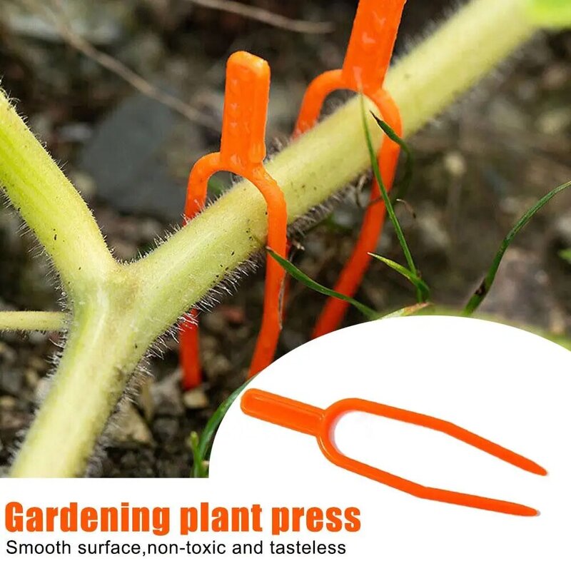 Plant Stem stollon Fixator 55MM 65MM Garden Strawberry Fixture Clamp anguria Planting Support Fork fastener Plant Clip A3B1