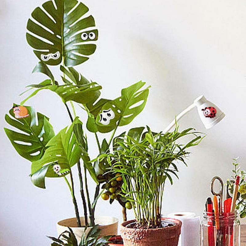 실내 실외용 식물 자석 장식, 재미있는 식물 눈 자석, 식물 애호가 선물, 여성 남성, 6 개