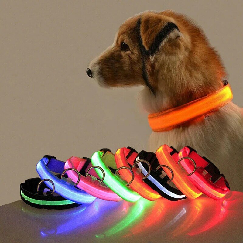 Collar de luz Led antipérdida para perros y cachorros, suministros luminosos para la noche, productos para mascotas, accesorios, carga USB/batería