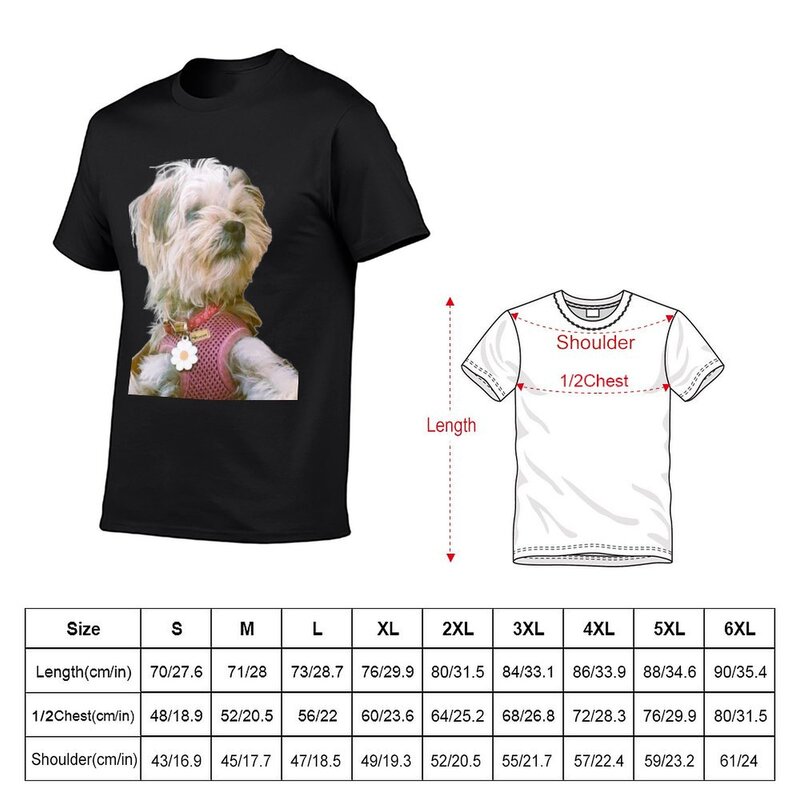 Camiseta de tamanho grande Anime masculina, Praline Dog, estilo Morkie, secagem rápida, camiseta alfandegária