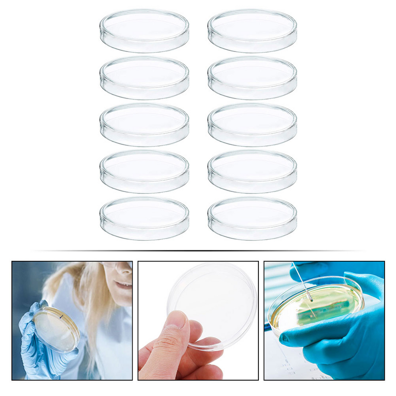 10 Stück Glas Petrischale Einweg sterile Kultur Agar Geschirr Pilze Teller Kunststoff Labor halter Tablett Deckel