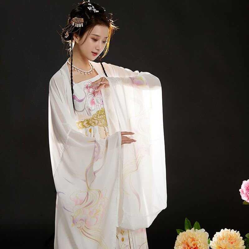 Costume da donna tradizionale cinese coreano vestito da donna coreano ricamato Wei Jin Dynasty Party Performance Dance Costume
