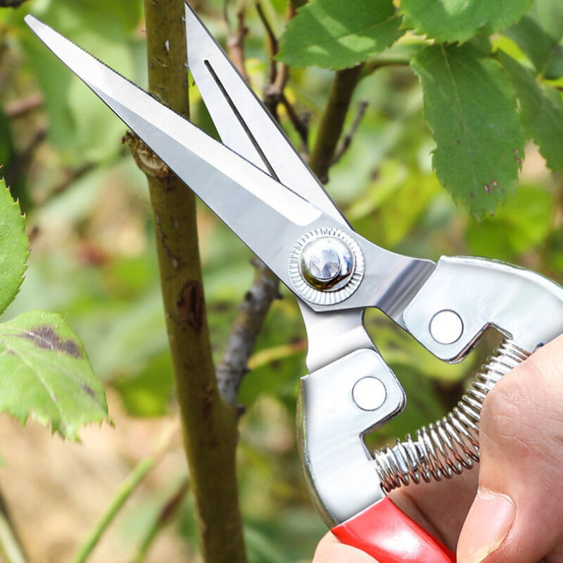 Nożyczki do przycinania ze stali nierdzewnej nożyce ogrodowe zbierania owoców w domu nożyczki do winogron narzędzia do przycinania do ogrodu