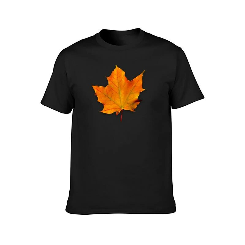 Осенняя Футболка с принтом кленового листа, милые топы, футболки с принтом животных для мальчиков, мужские футболки с графическим принтом
