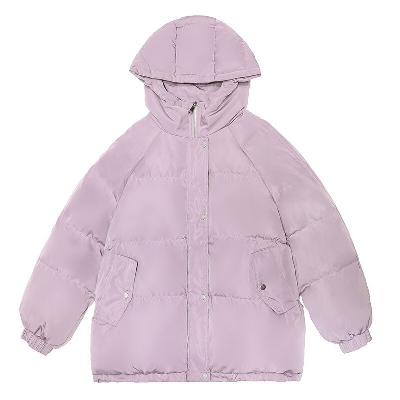 여성용 느슨한 지퍼 스탠드 칼라 후드 따뜻한 재킷, 한국 스타일 파카 코트, 긴 소매 포켓, 우아한 파카 코트, 겨울