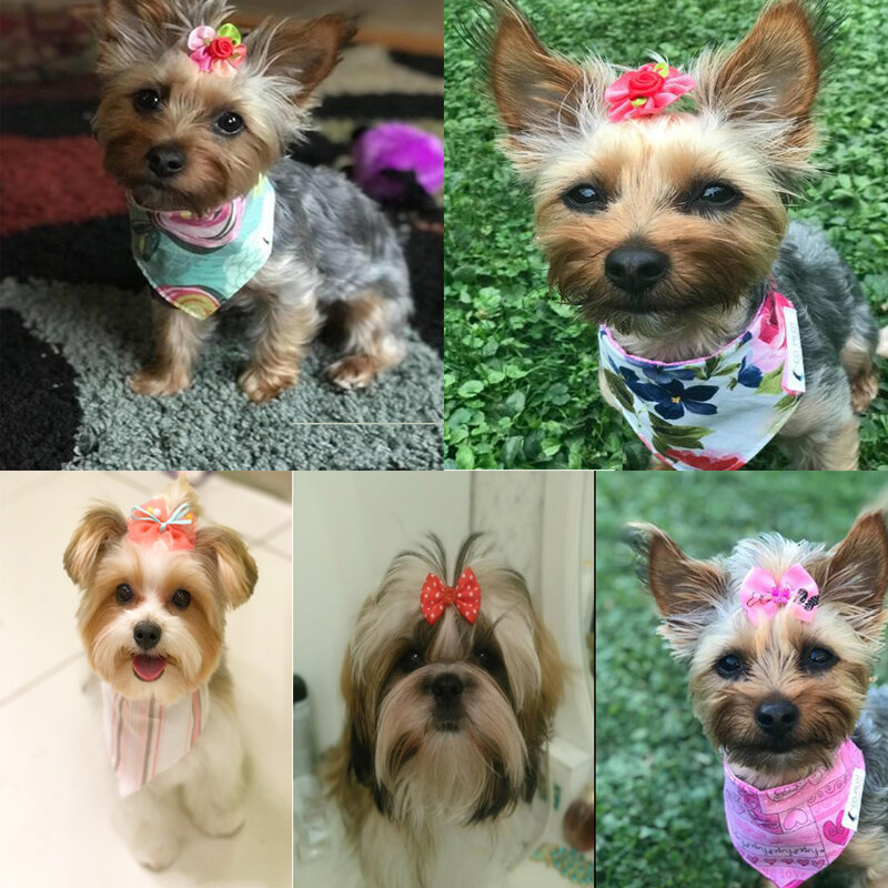 다이아몬드 강아지 보우 그루밍 용품, 새로운 다양한 스타일, 애완 동물 털 활, 고무 밴드, 도매, 10 개, 20 개, 30 개