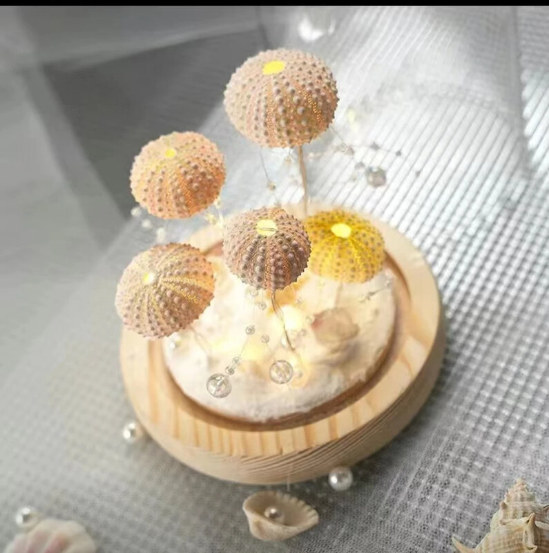 DIY Material Package Sea Urchin Shell Jellyfish Lamp Circular Night Lamp Bedside Table Decor Ocean Lover Birthday Gift Christmas
