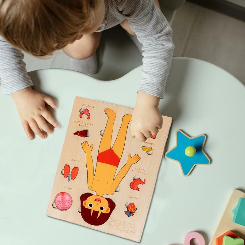 Rompecabezas del cuerpo humano para niños, juguetes educativos duraderos y seguros, rompecabezas de Anatomía de madera Montessori, juguetes de aprendizaje coloridos