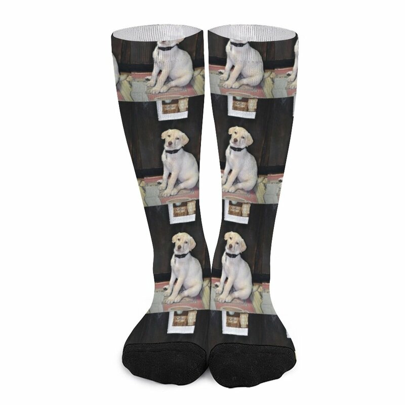 Calzini Labrador bianchi calzini divertenti per donna lotti calzini uomo