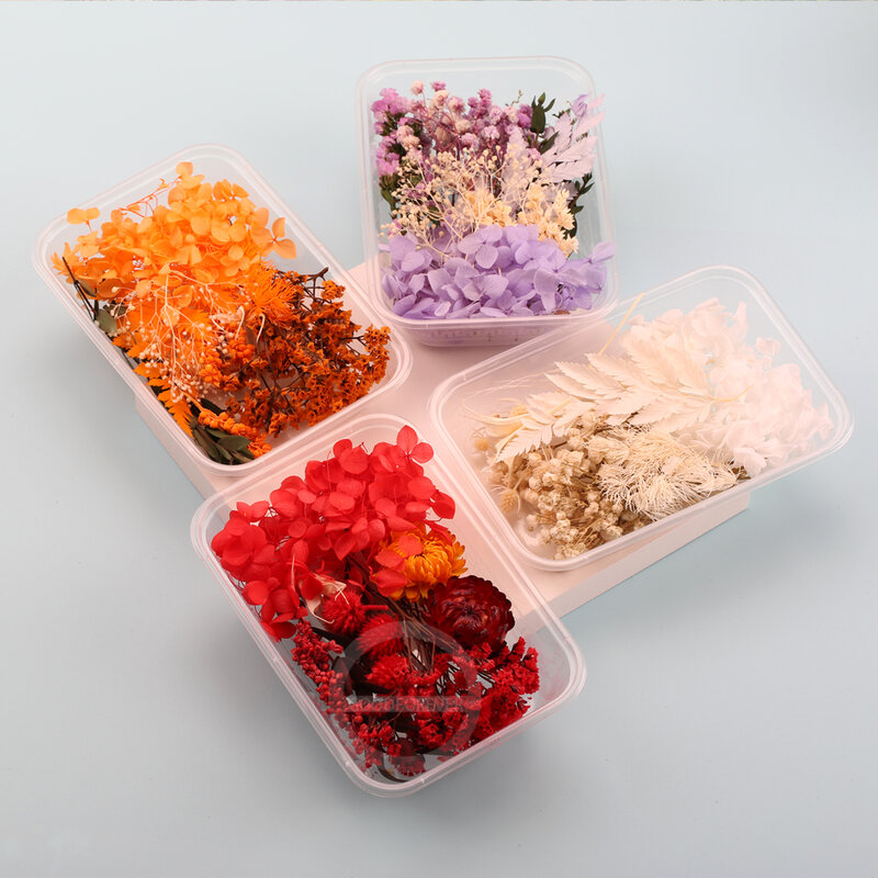 1 Box Natural Real Dried Flowers for Resin Artificial Plants Diy Home Decoration Candle Molds Crafts Tools  Making Accessories