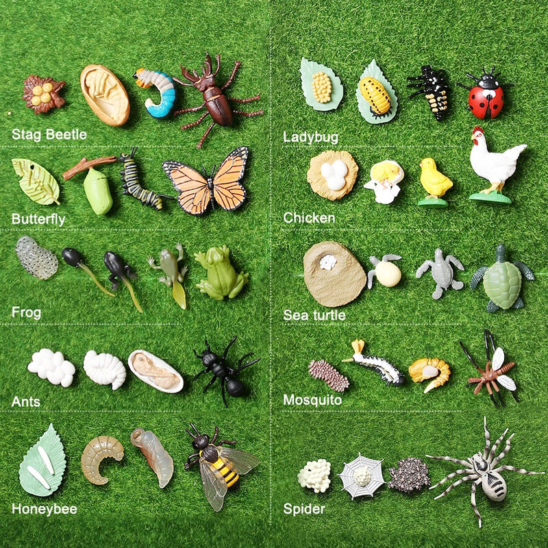Fuchsia-Figurines de simulation de croissance d'animaux, animaux, animaux, araignées, modèles en plastique, figurines d'action, matériel de subvention de la vie