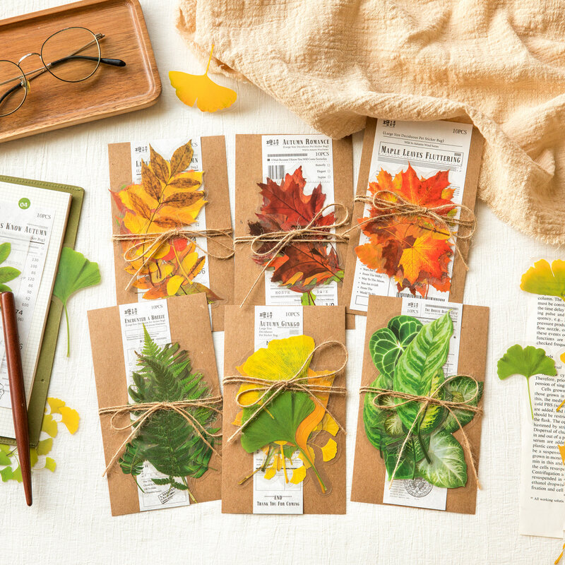 Paquete de material de simplicidad creativa salvaje en la serie de viento de otoño, mensaje, pegatina para mascotas, 12 paquetes por lote