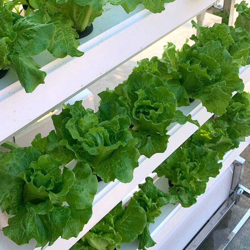 Système de culture hydroponique, plantation de légumes et de fraises, planteur d'intérieur intelligent, Vertical, Led, aérobique, équipement de jardinage