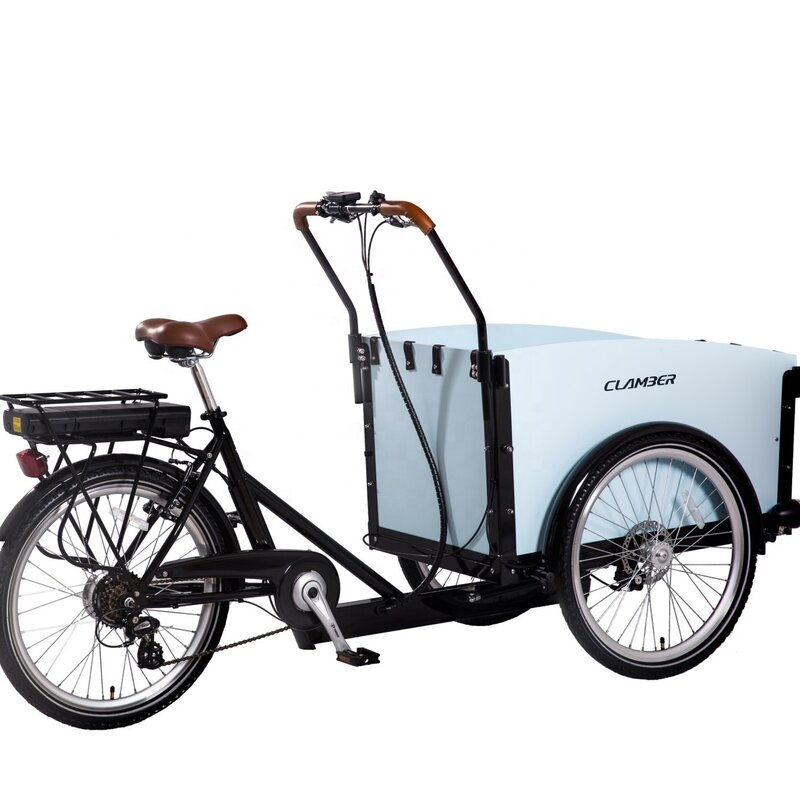 Penjualan laris baru sepeda kargo roda tiga keluarga Clamber sepeda kargo elektrik