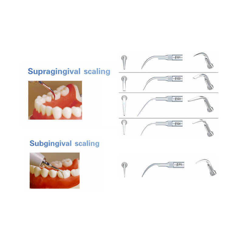 5 Puntas De Trabajo Hout-Pecker G1G2G3G4P1 Para Limpieza Specht Dental Dental Materiaal