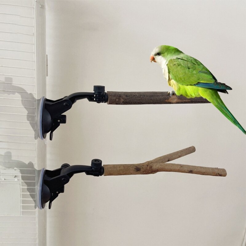 Perroquet perchoir support cage coin support oiseaux escalade debout perche fournitures pour animaux de compagnie