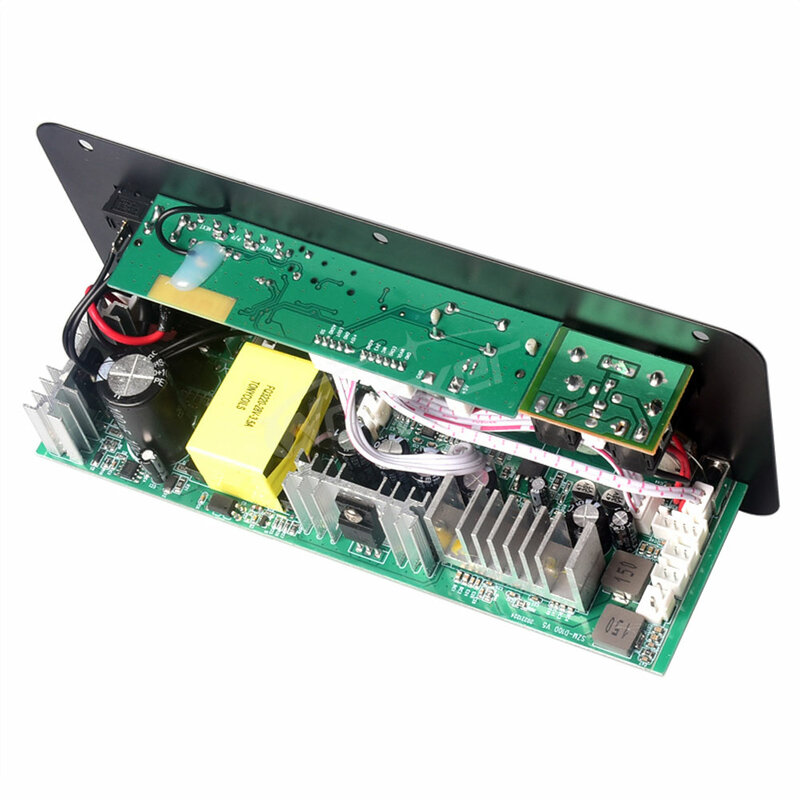 Woopker-placa amplificadora de Audio con Bluetooth, módulo amplificador de Micrófono Dual, Subwoofer D100, 300W, 12V, 24V, 220V, reproductor multimedia
