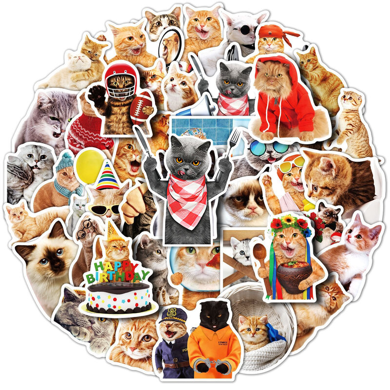 50Pcs Funny Cat Stickers Cute Kitty Waterproof Decals For Decorations Scrapbook Journal Water Bottle Laptop Luggage Sticker