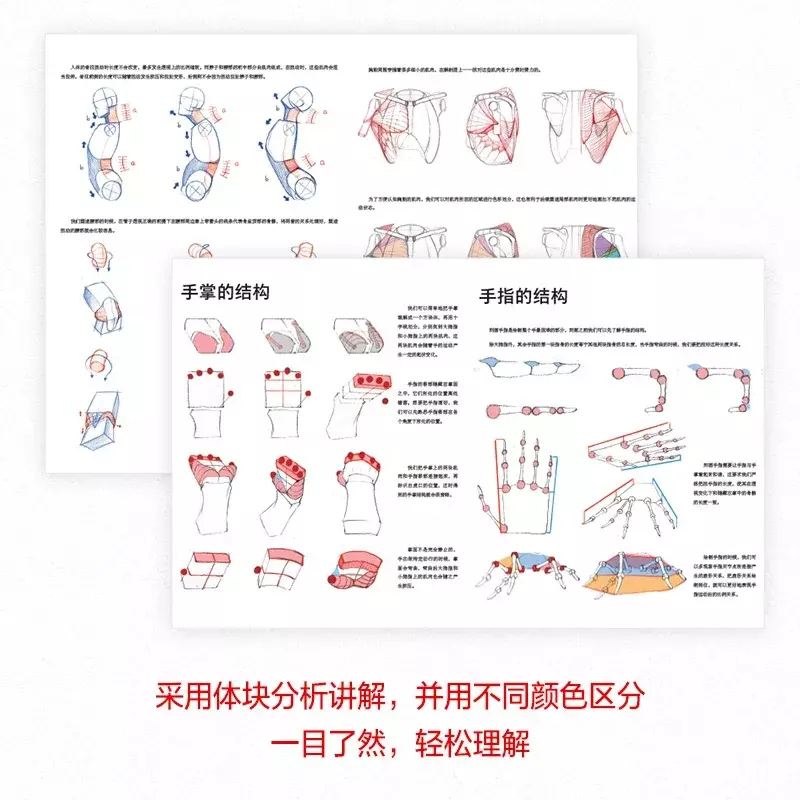 Ludzka anatomia dla artystów zasada budowy ludzkiego ciała i malarstwo książka nauczająca figurka postaci z gry Anime kopiowanie sztuki książka do kolekcji