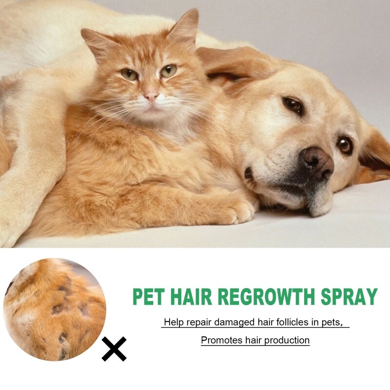 Добавка для лечения выпадения волос у собак, спрей для собак, кошек, нетоксичные безопасные ингредиенты, использование на теле,