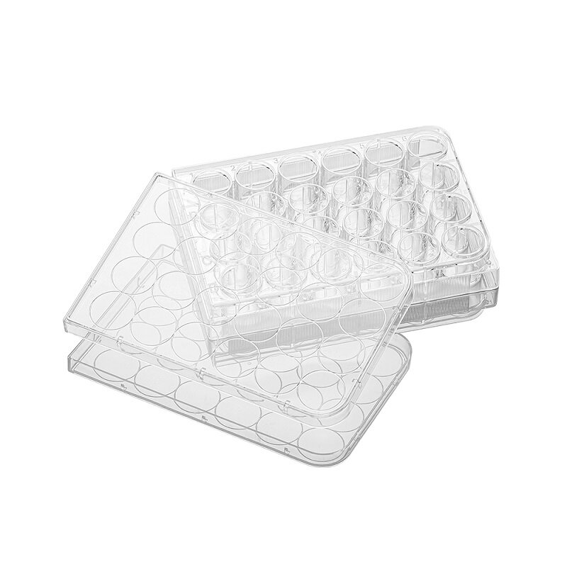 LABSELECT 24-Well Cell Culture Plate, Embalagem de papel e plástico, 11312