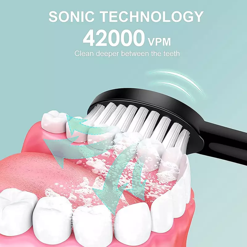 فرشاة أسنان كهربائية ذكية قابلة للشحن USB ، تنظيف الأسنان ، تبييض فرشاة الأسنان الصوتية ، فرشاة الأسنان توقيت مع رؤساء استبدال