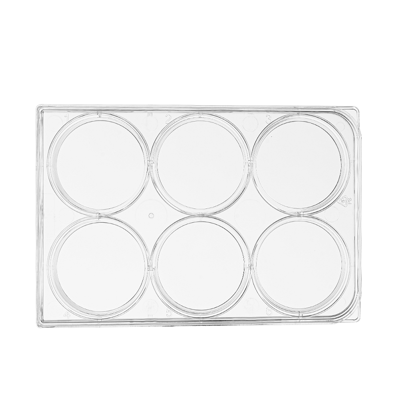 LABSELECT 6-well Cell Culture Plate, No Treated, 11120