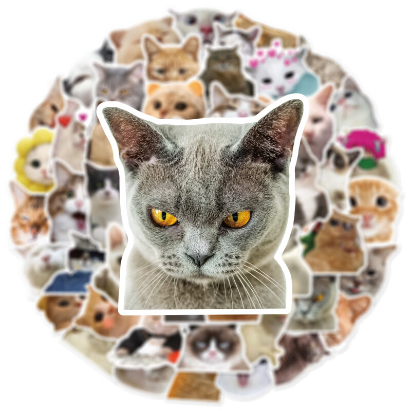 Cute Cartoon Realistic Cat, Graffiti Cup Decoração de Interiores, DIY Waterproof PVC Sticker, Personalidade Brinquedos, Atacado, 10 Pcs, 30 Pcs, 50Pcs