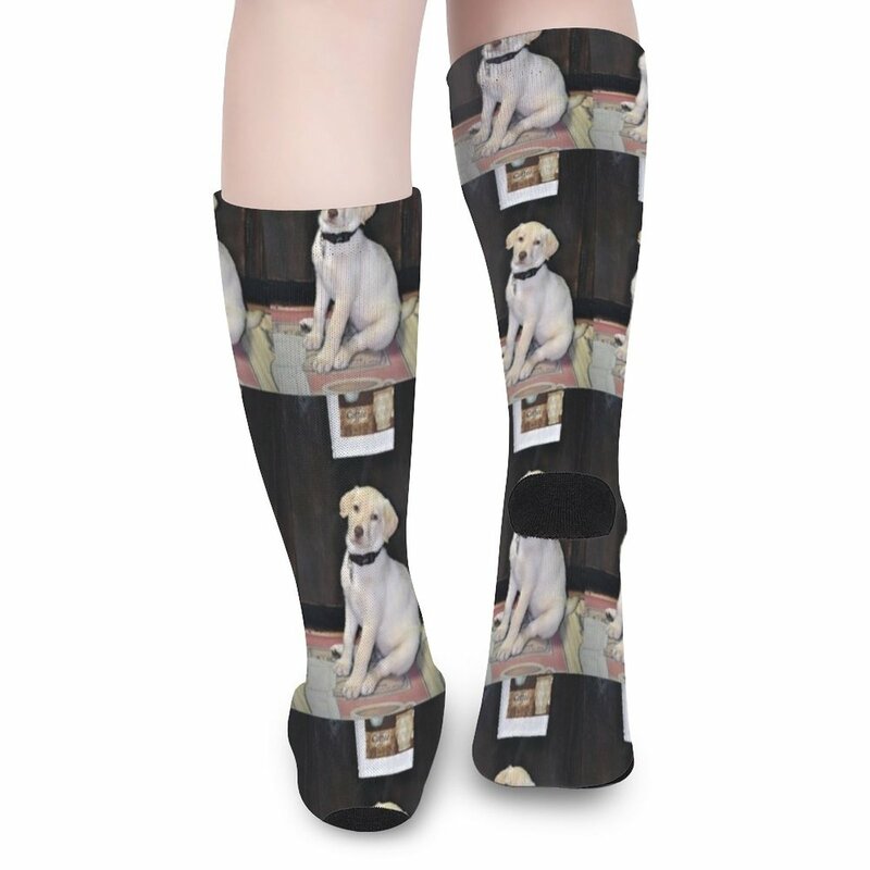 Weiße Labrador Socken lustige Socken für Frauen viele Socken Männer