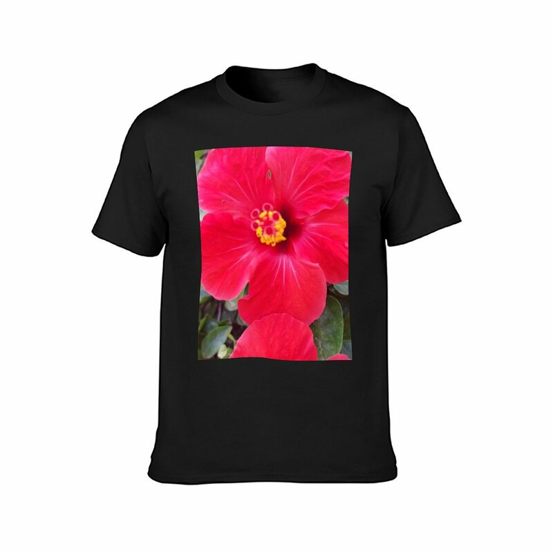 Flor de verão masculina Hibiscus T-Shirt, Roupas Estéticas, Blusa de Secagem Rápida, Blanks, Camisetas Engraçadas