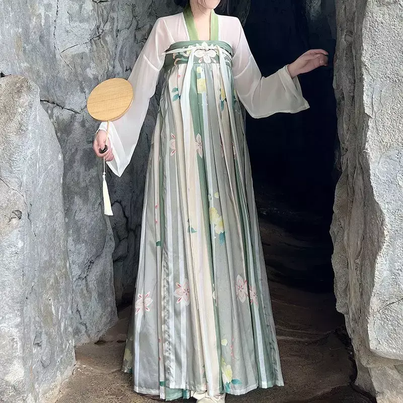 Conjunto de vestido Hanfu de la dinastía Tang para mujer, traje de escenario de princesa con estampado Floral Retro de estilo chino, bata larga elegante tradicional