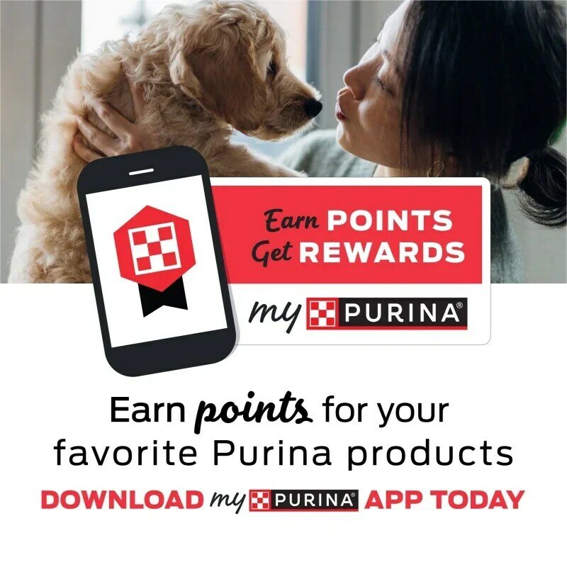 Purina-小さな犬のためのラッパービットウェットフード、ハイプロテインバラエティパック、3オンス缶、30パック