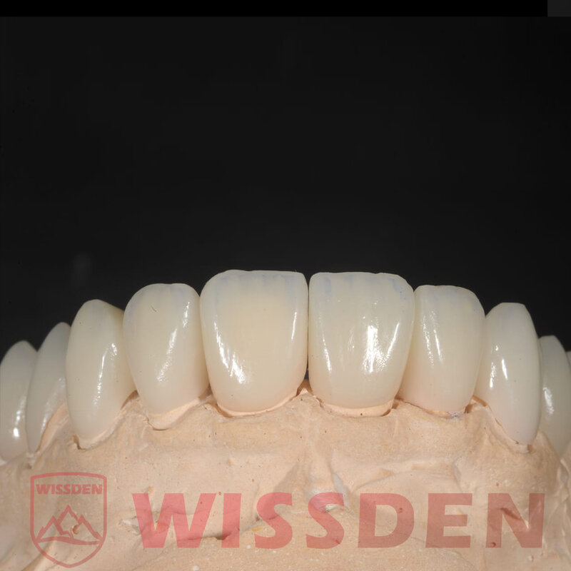 Детали 5 шт. C14 Wissden стоматологические стеклянные керамические кубики CAD/CAM-мгновенный лучший клиент