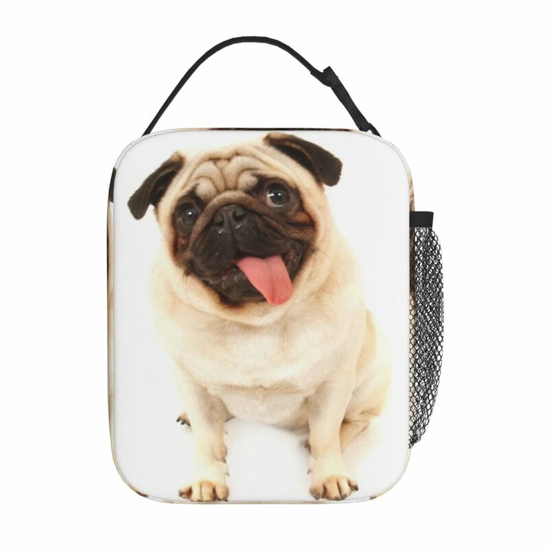 Изолированная сумка для ланча с изображением мопса, собаки, персонализированная ткань Оксфорд, офисный подарок на день рождения