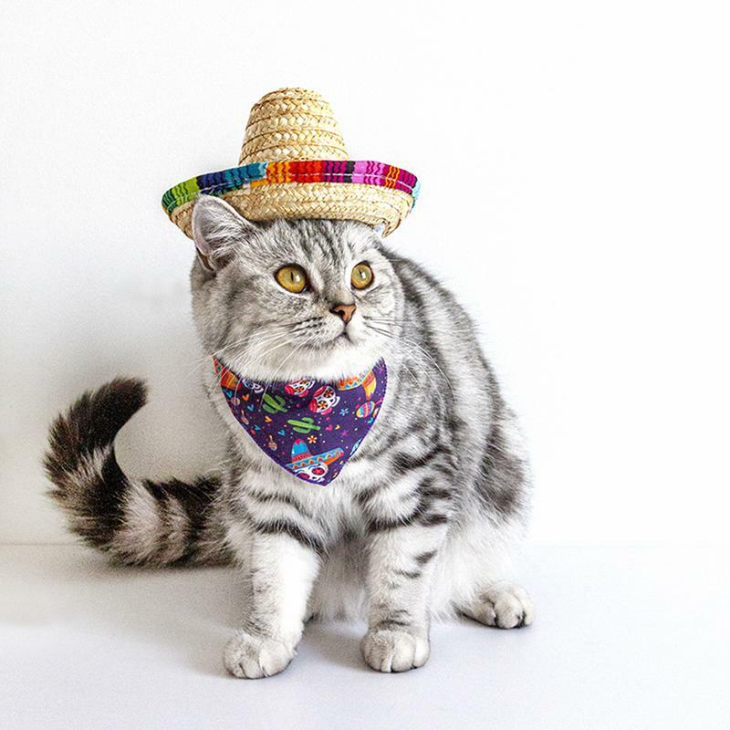 Sombrero De paja mejicano para perro, Mini sombrero De paja para mascotas, diseñado con telas naturales y sombrero De paja para mascotas pequeñas De Mayo, gatos