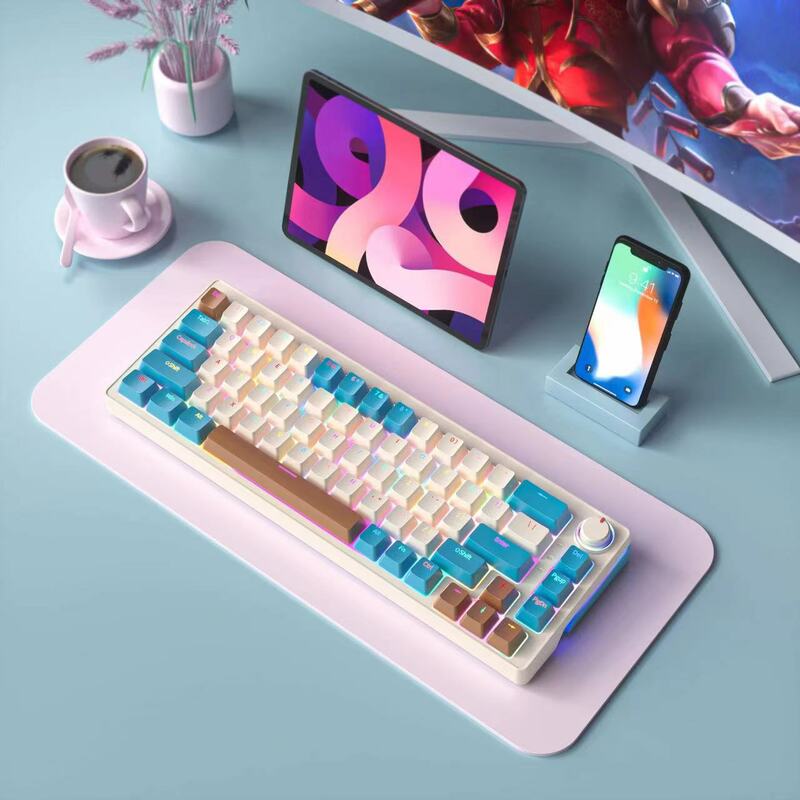 RGB mechanical keyboard 2.4G wireless and bluetooth and Type-c dispatched hotswap mechanical customized keyboard